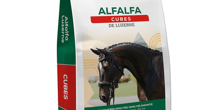 Semican Alfalfa cube de Luzerne- (50 lbs)