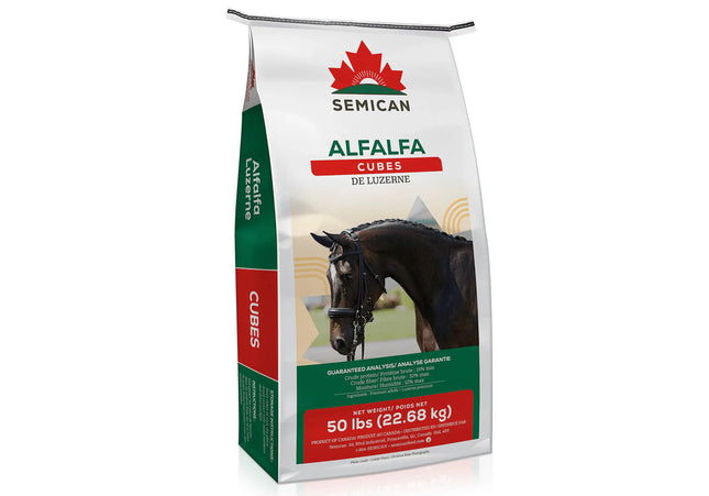 Semican Alfalfa cube de Luzerne- (50 lbs)