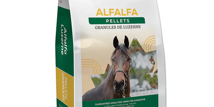Semican Alfalfa Pellets de luzerne - 50lbs